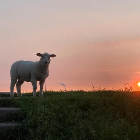 Urlaub Beim Kaeptn! Freistehendes Premium Nordsee-ferienhaus Mit Fahrraedern, Stellplatz Und Garten, 150m Zur Nordsee Prázdninový dům *